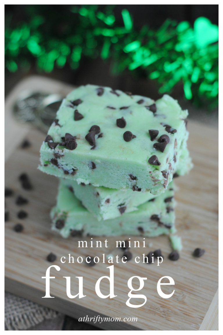 Mint mini chocolate chip fudge