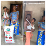 bag-of-rice-project-461