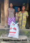 bag-of-rice-project-462