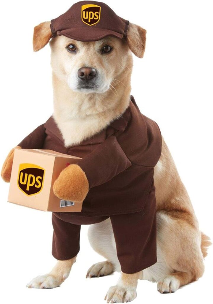 Pet UPS costume