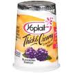 Yoplait Thick Creamy Yogurt A Thrifty Mom