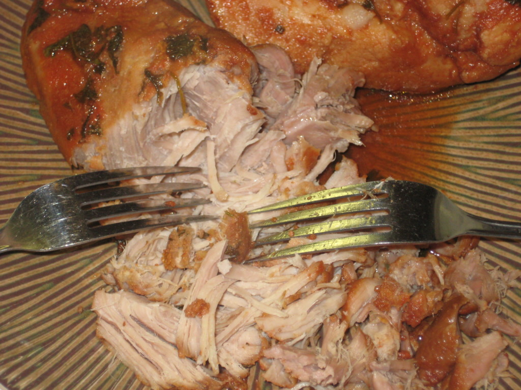 Sweet Shredded Pork Recipe – A Thrifty Mom