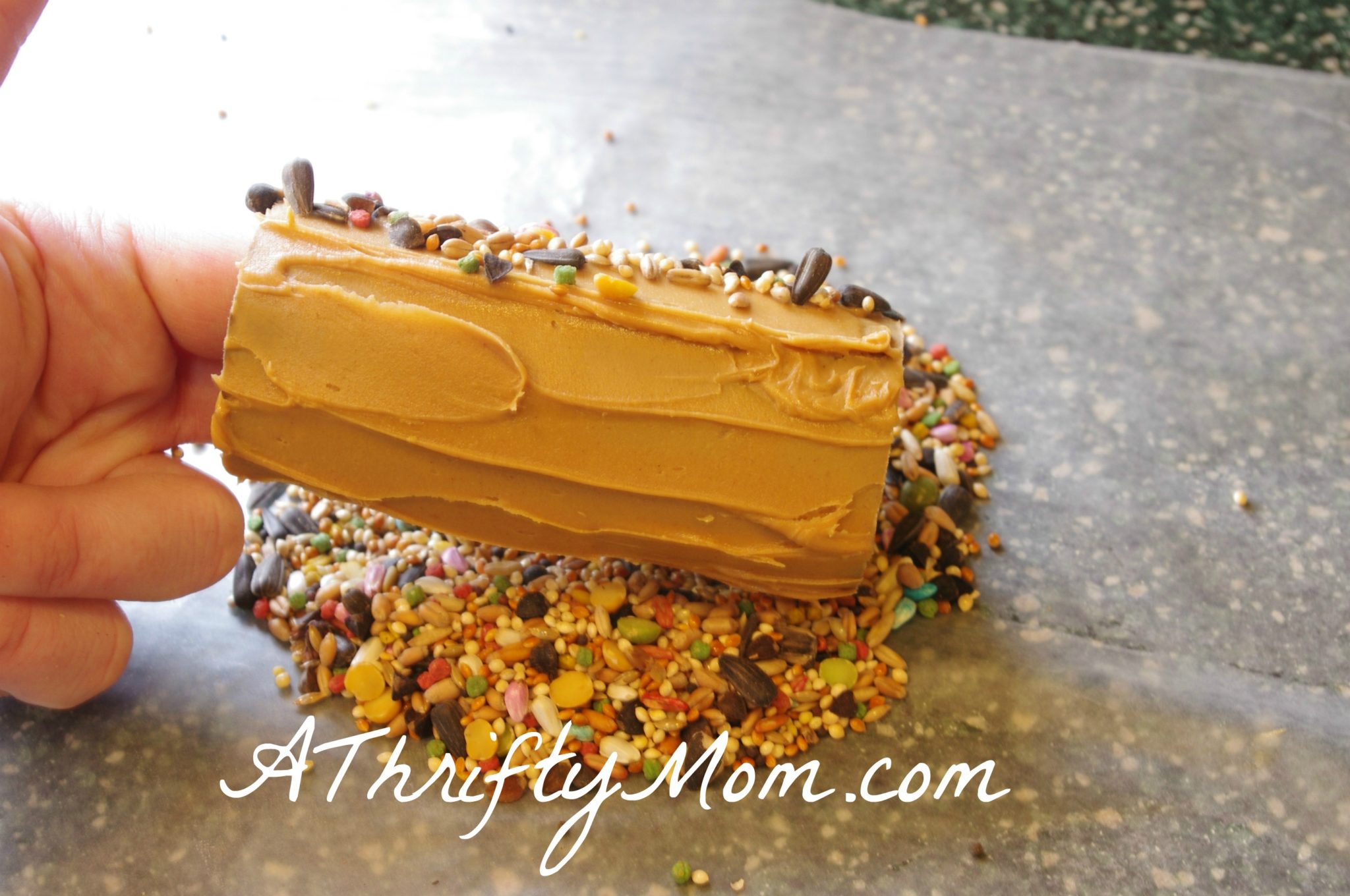 Diy Easy Bird Feeders Diy Easy Bird Feeders