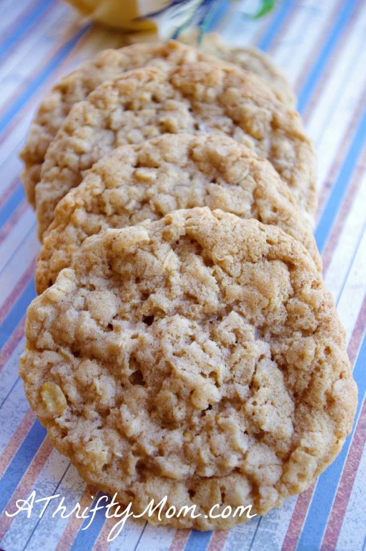 Coconut Oatmeal Cookies Money Saving Recipe A Thrifty Mom