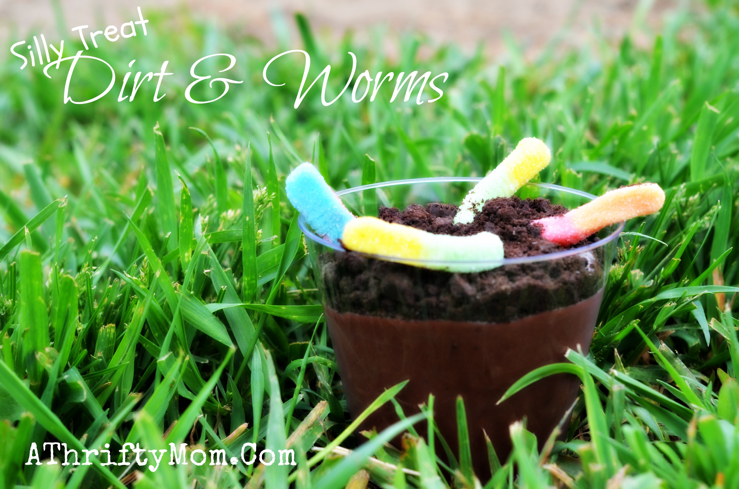 Dirt and Worms ~ Summer Recipe for Kids #Super #Kids #Recipe - A
