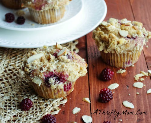 Blackberry Streusel Topped Muffins ~ Money Saving Recipe - A Thrifty