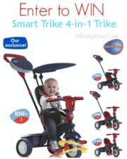 smart trike double