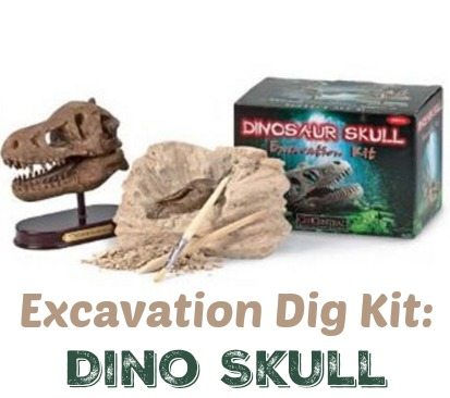 discovery dinosaur skull dig