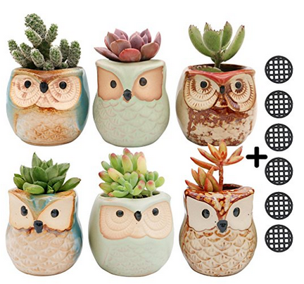 Owl Succulent Plant Pots - A Thrifty Mom