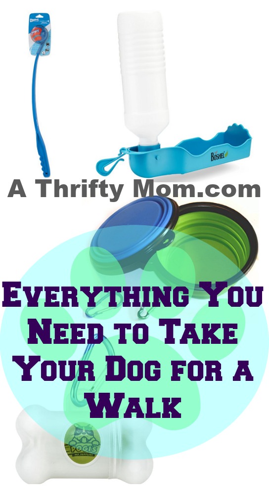 everything-you-need-to-take-your-dog-on-a-walk-a-thrifty-mom