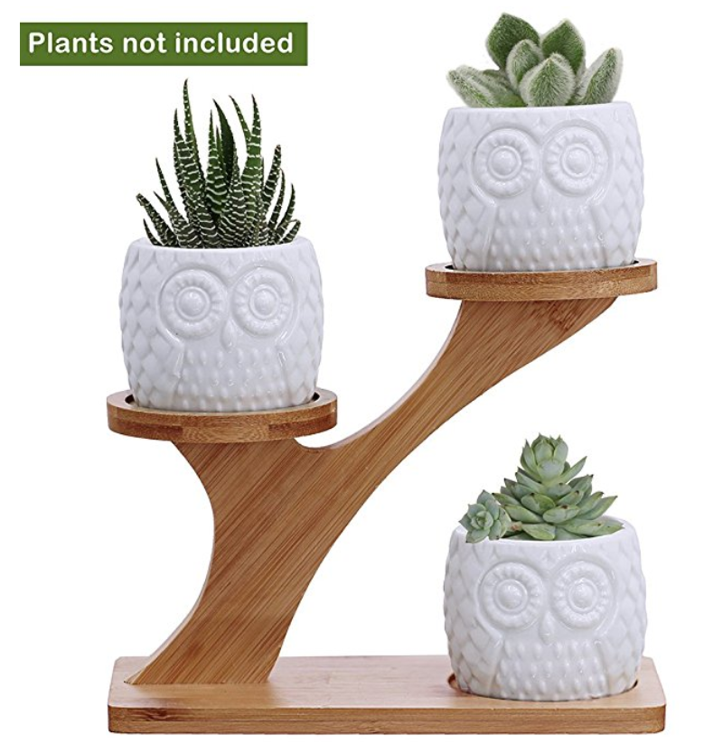 3pcs Owl Succulent Pots with 3 Tier Bamboo Stand - A Thrifty Mom ...