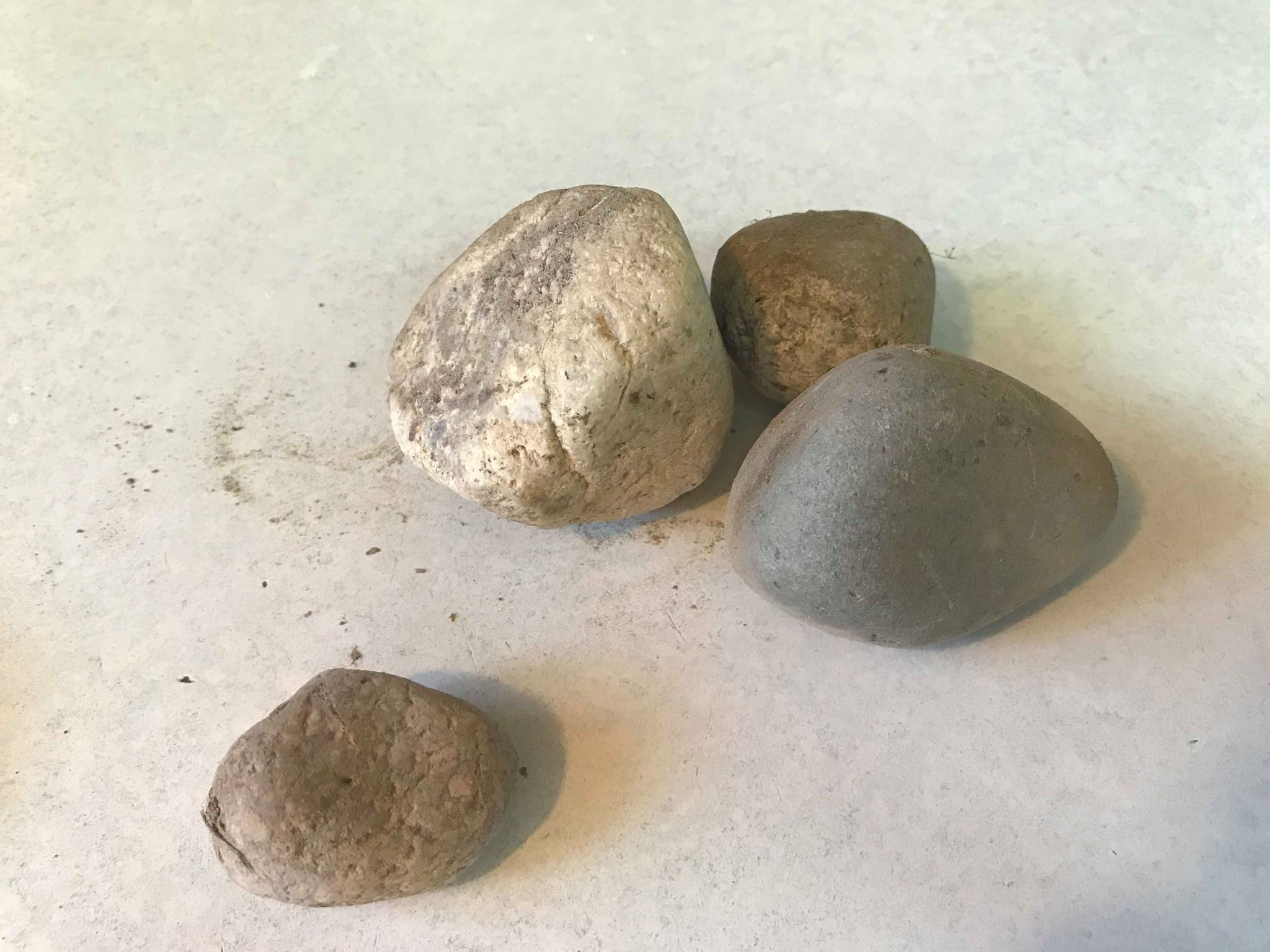 Rock Bugs – Fun Activity for Kids – A Thrifty Mom