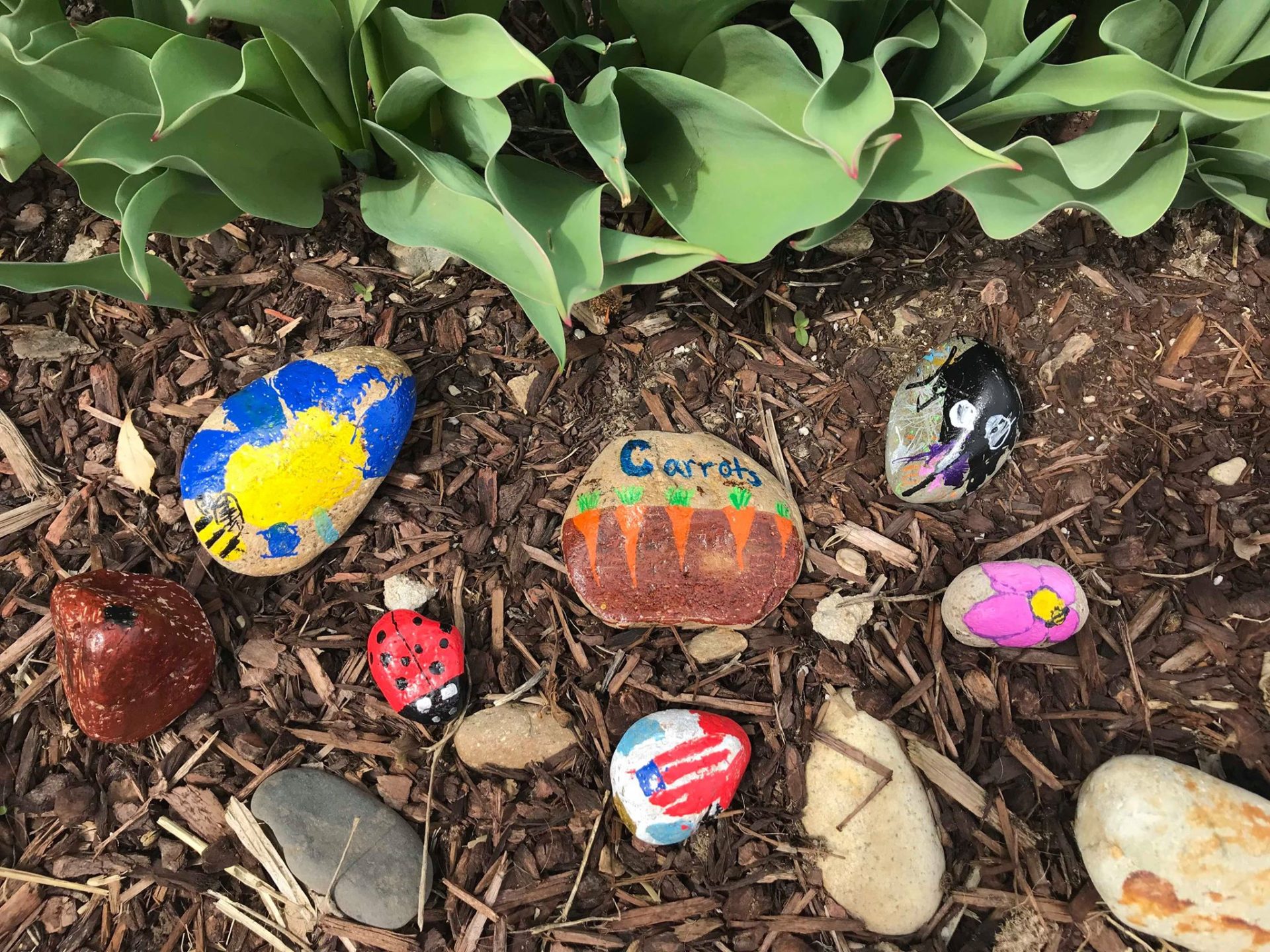 Rock Bugs - Fun Activity For Kids - A Thrifty Mom