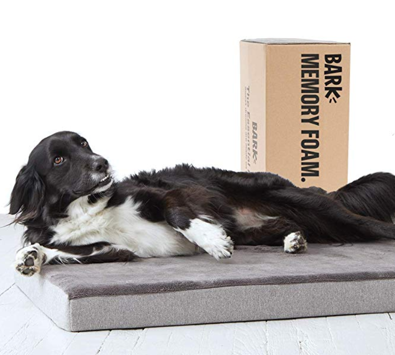 Memory Foam Dog Bed A Thrifty Mom