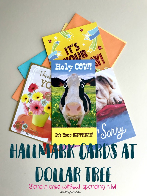 Hallmark and Dollar Tree celebrate 1 year together A Thrifty Mom