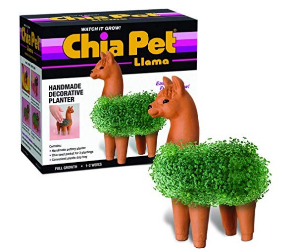 Chia pet llama A Thrifty Mom