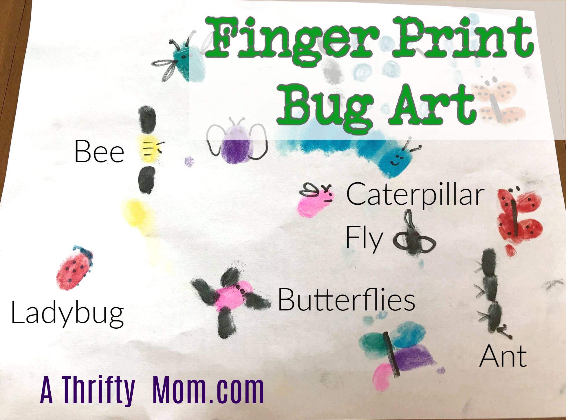Finger Print Bug Art A Thrifty Mom
