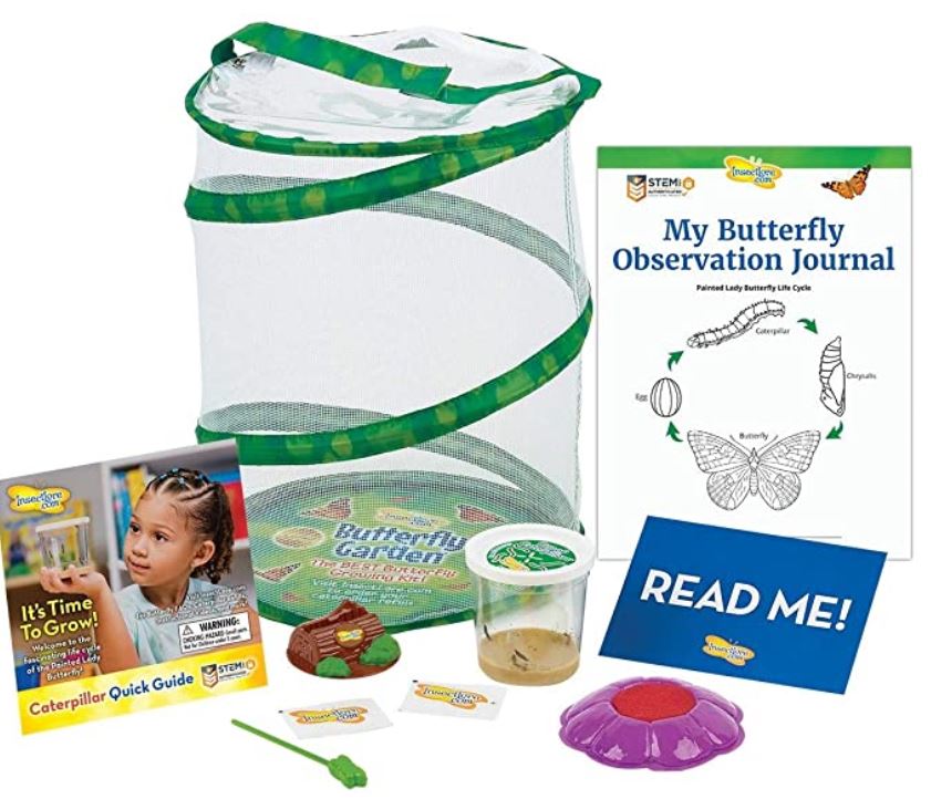 Butterfly Garden STEM Kit A Thrifty Mom